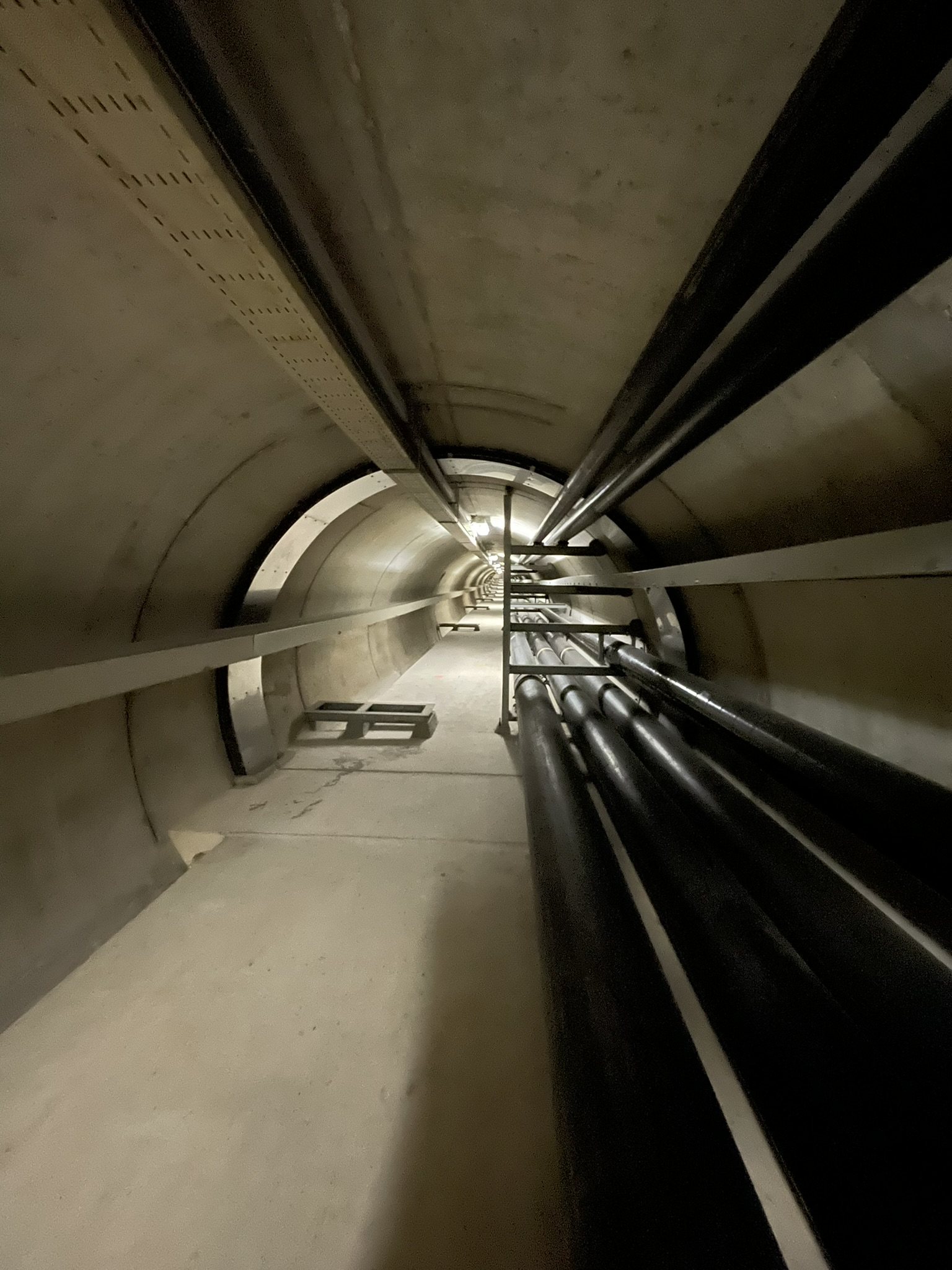 LIDAR scanning 

Assessment of Omega profile